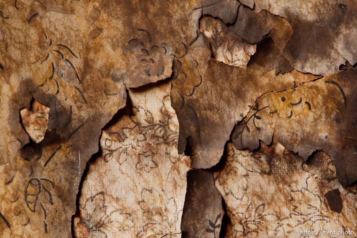 Canon EOS-1D Mark II N