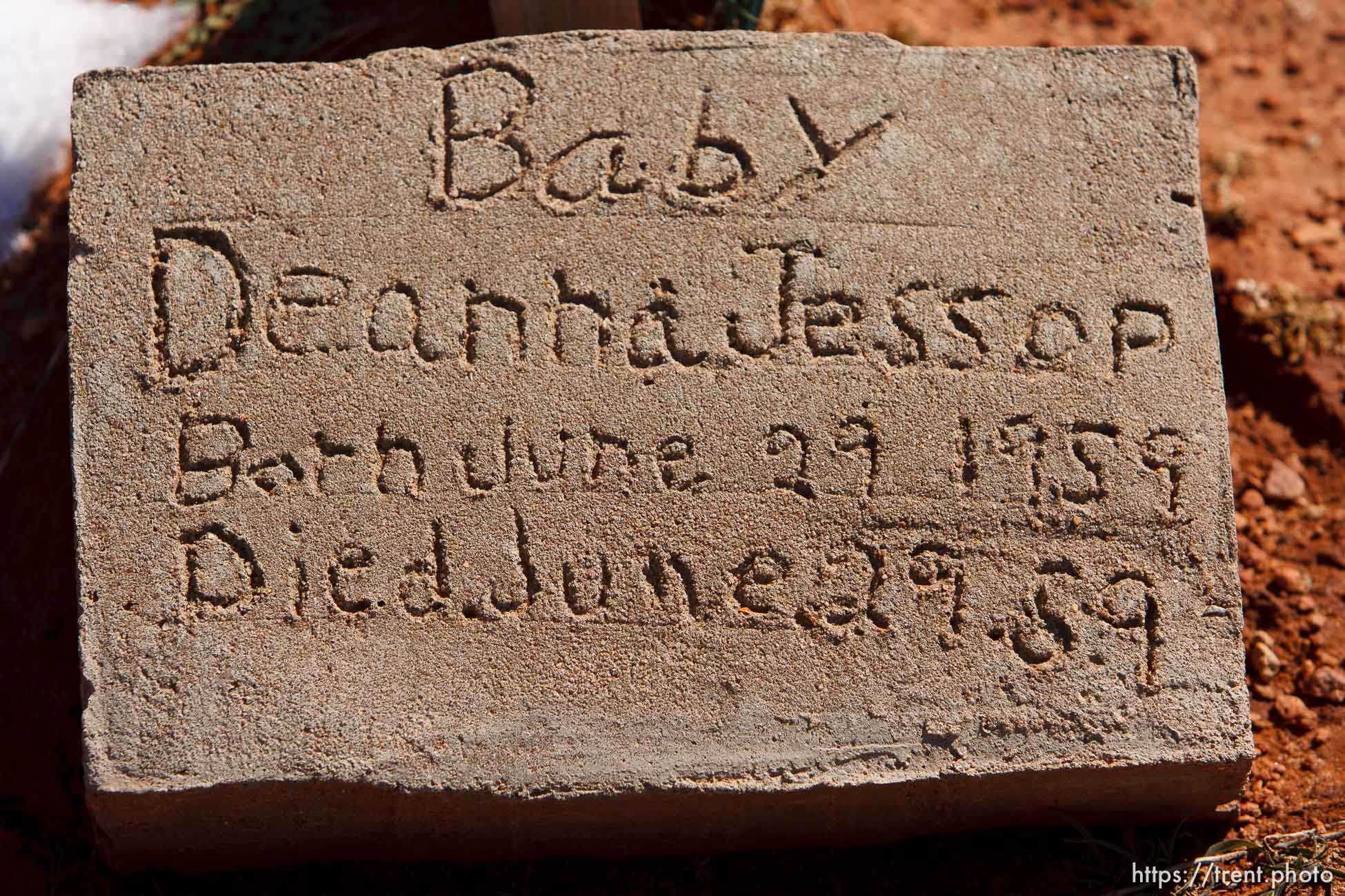 Canon EOS-1D Mark II N