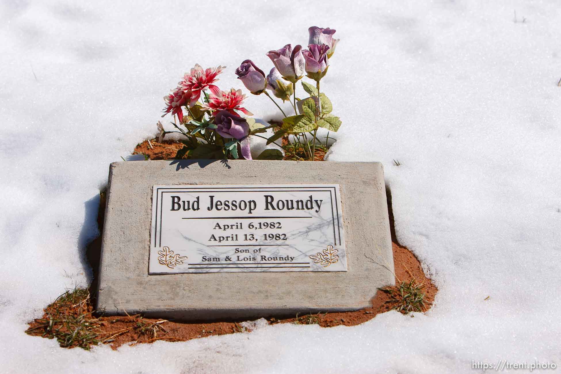 Polygamy in the American West