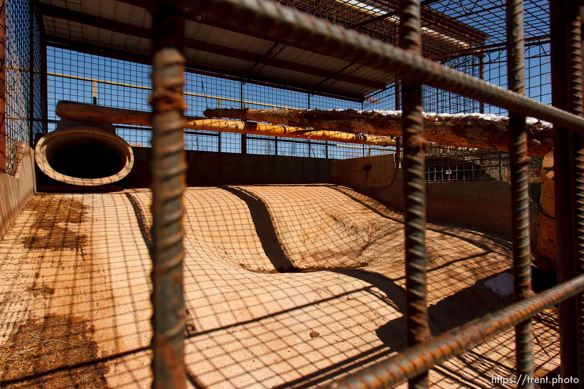 Polygamy in the American West