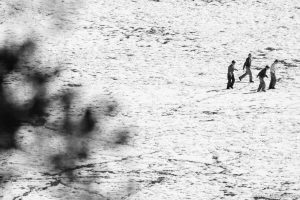 Kids playing at recess at the former Phelps Elementary School, now a private school that houses what used to be the Alta Academy, according to Isaac Wyler, the students of the upper echelon, FLDS. polygamy.