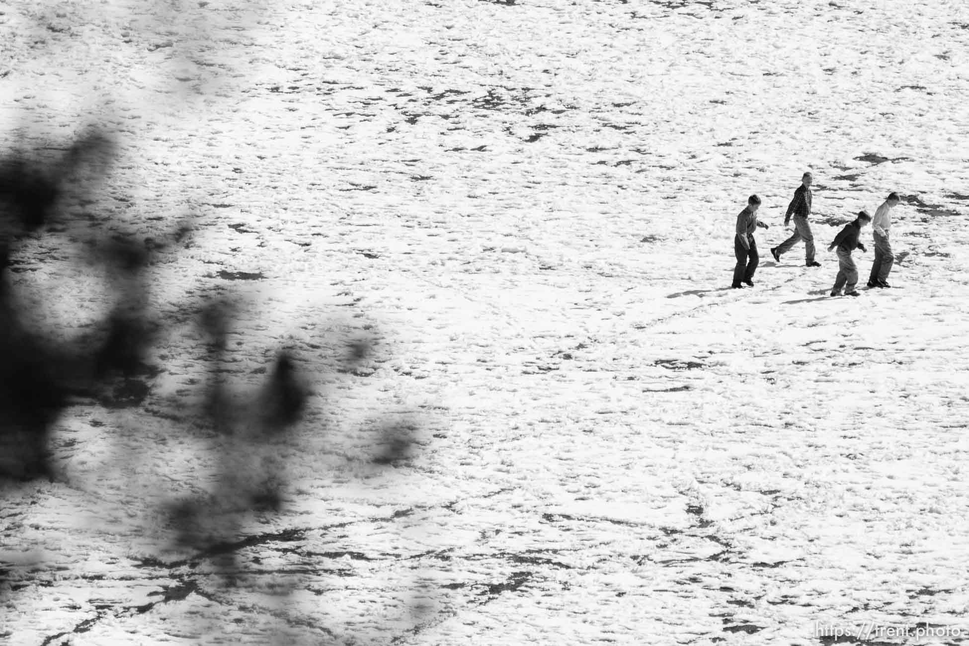 Canon EOS-1D Mark II N