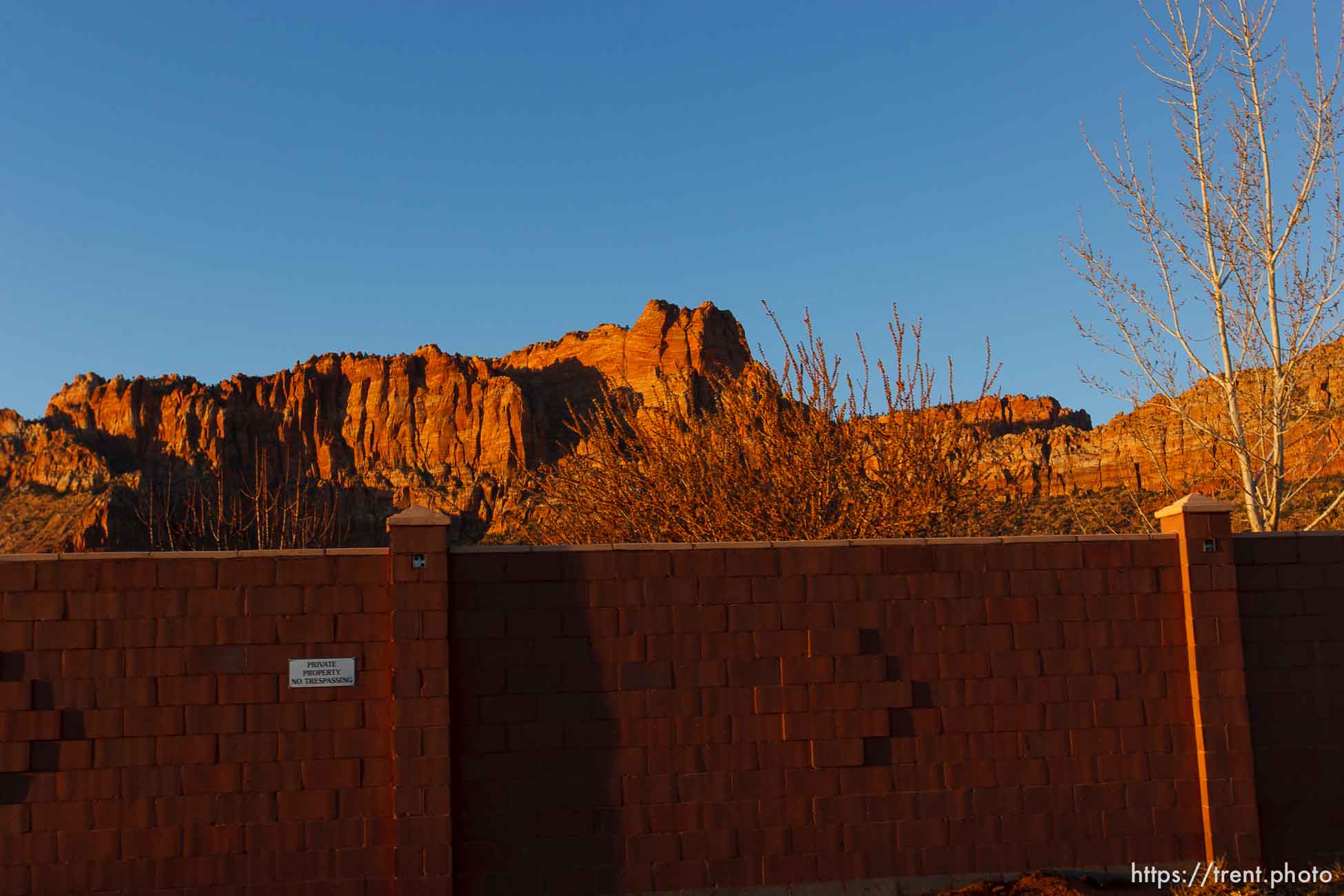 Polygamy in the American West