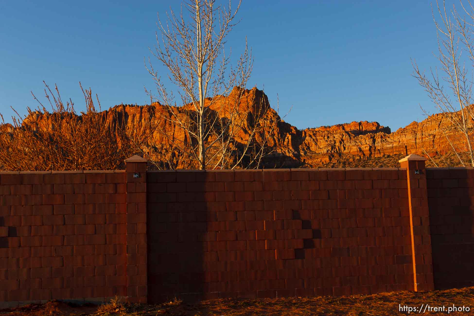 Polygamy in the American West