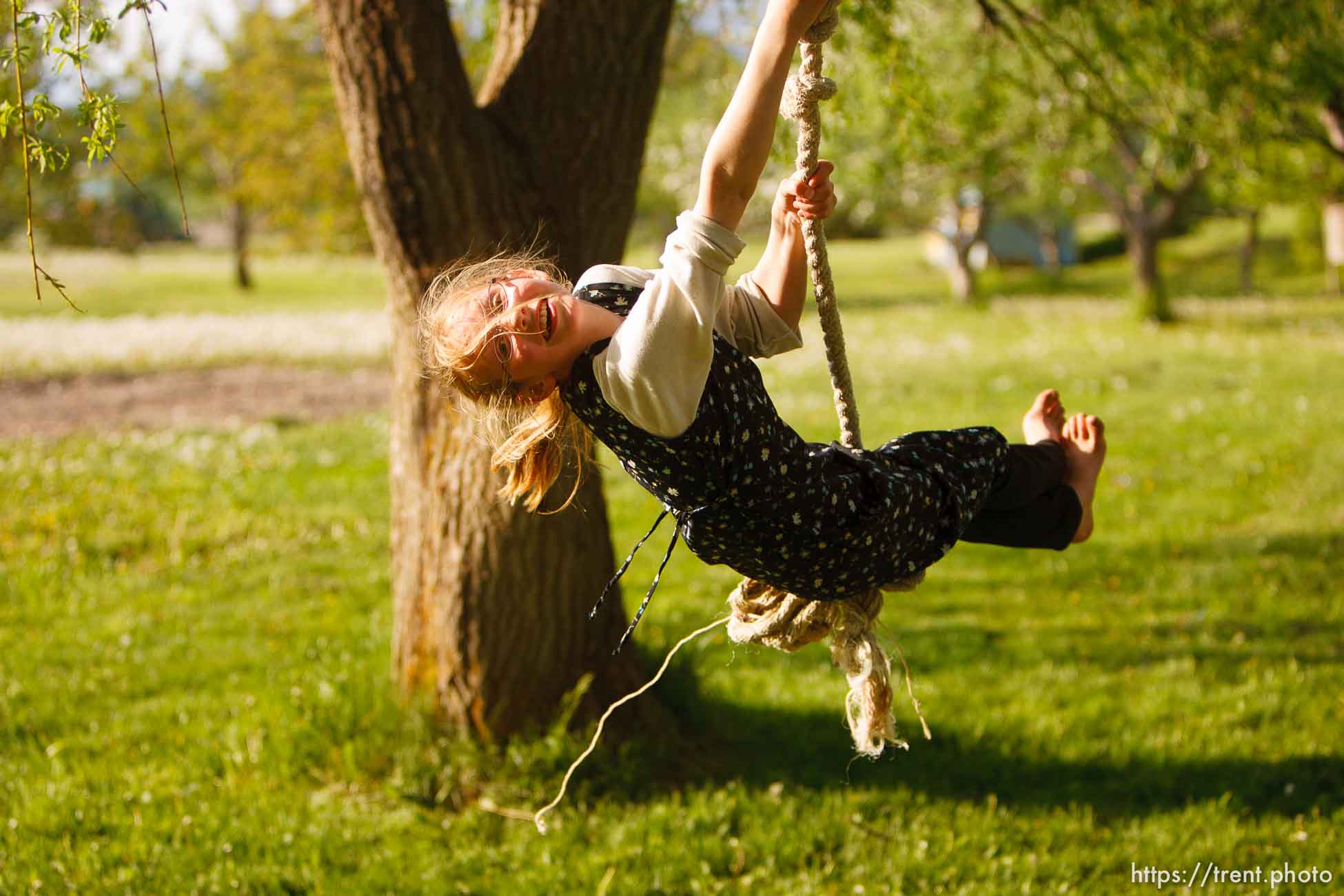 Canon EOS-1D Mark II N