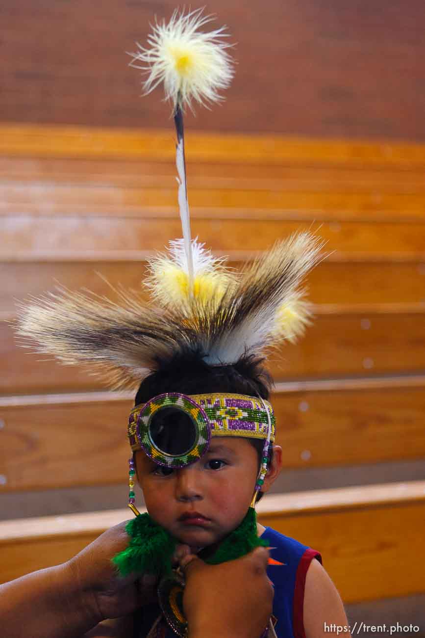 Canon EOS-1D Mark II N