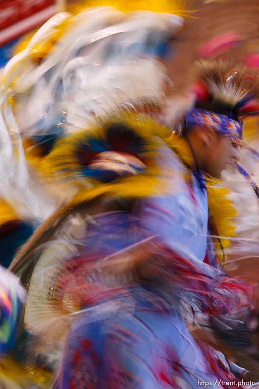 Canon EOS-1D Mark II N