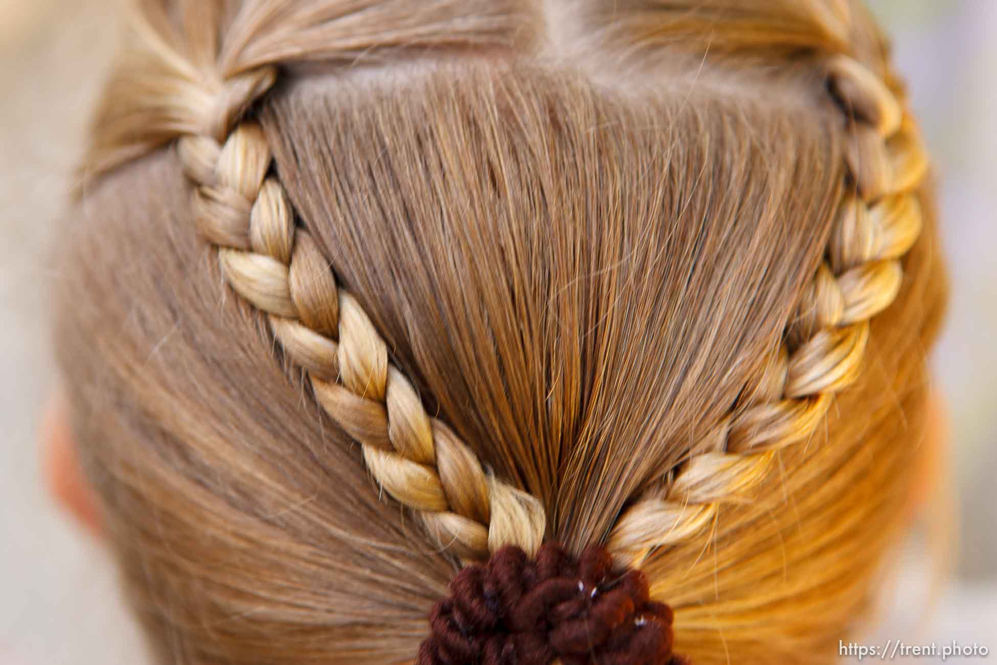 Canon EOS-1D Mark II N