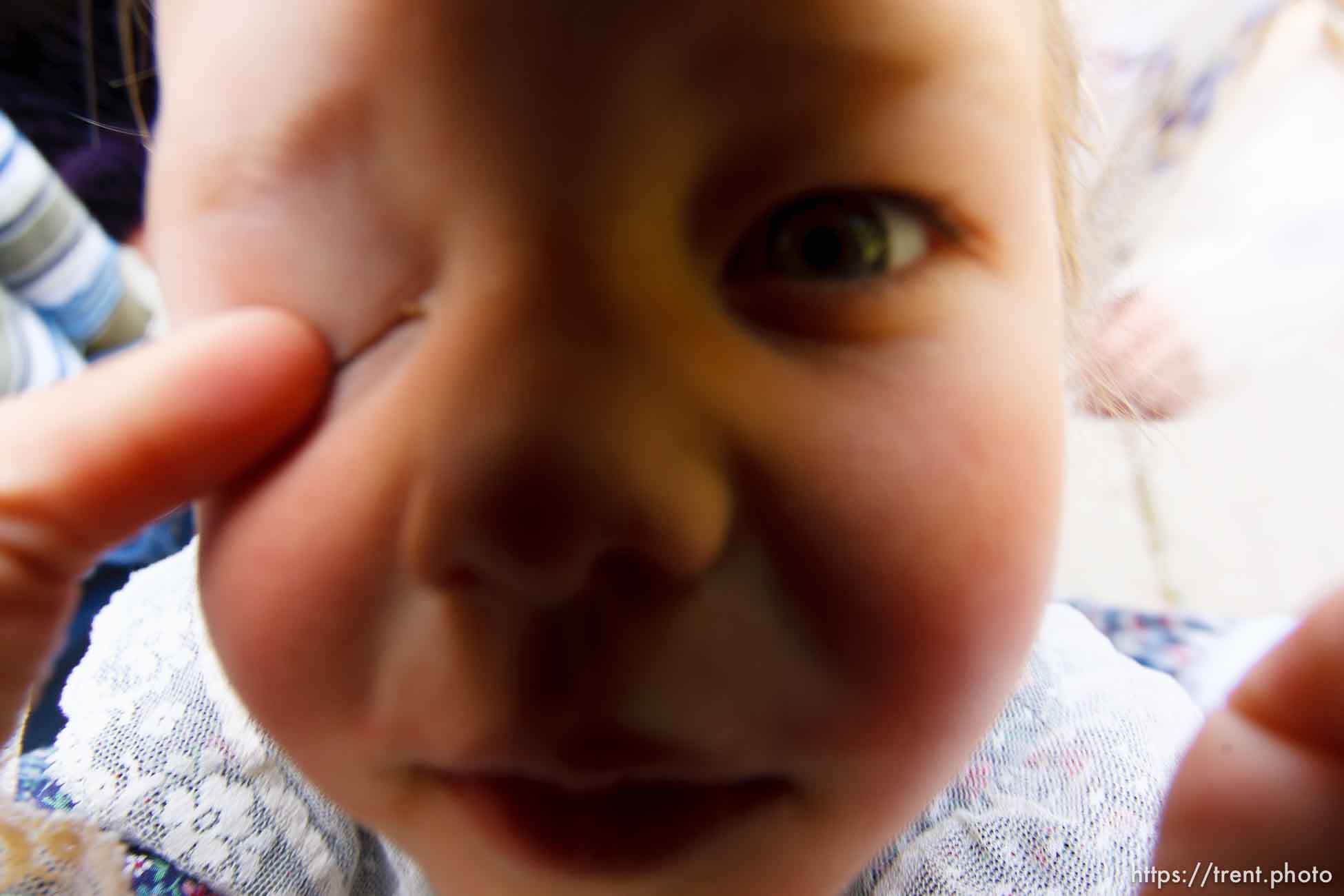 Polygamy in the American West