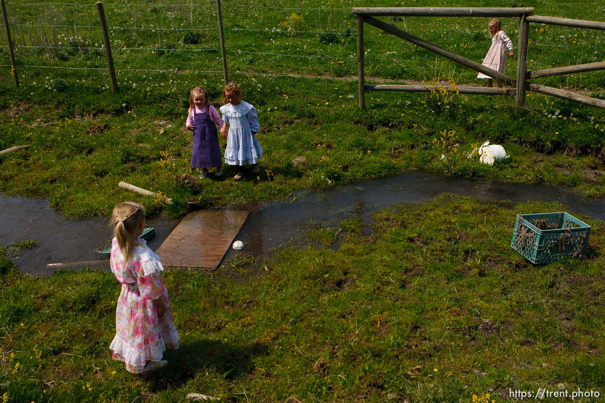 Polygamy in the American West