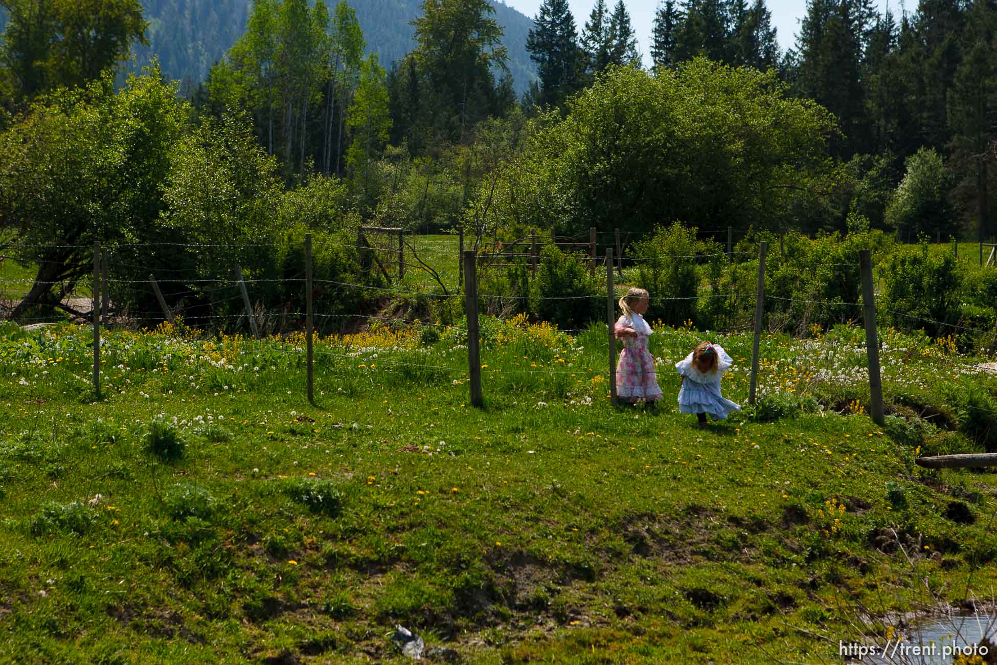 Polygamy in the American West