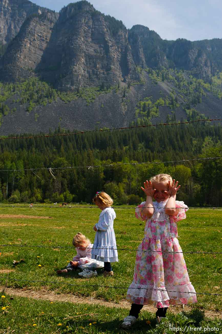 Canon EOS-1D Mark II N