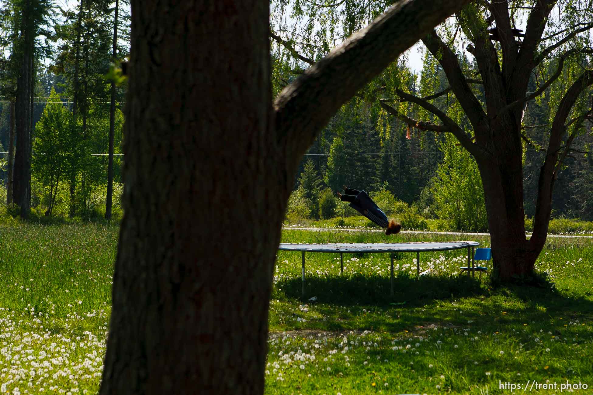 Canon EOS-1D Mark II N