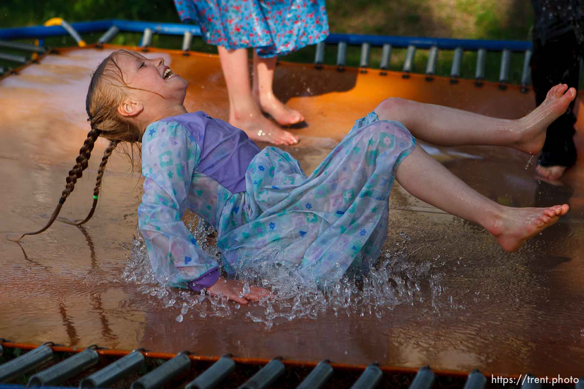 Polygamy in the American West