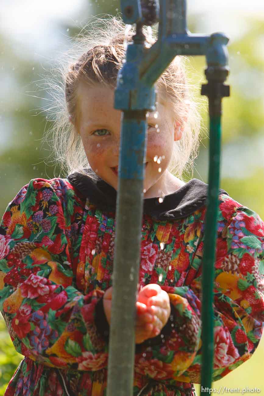 Polygamy in the American West