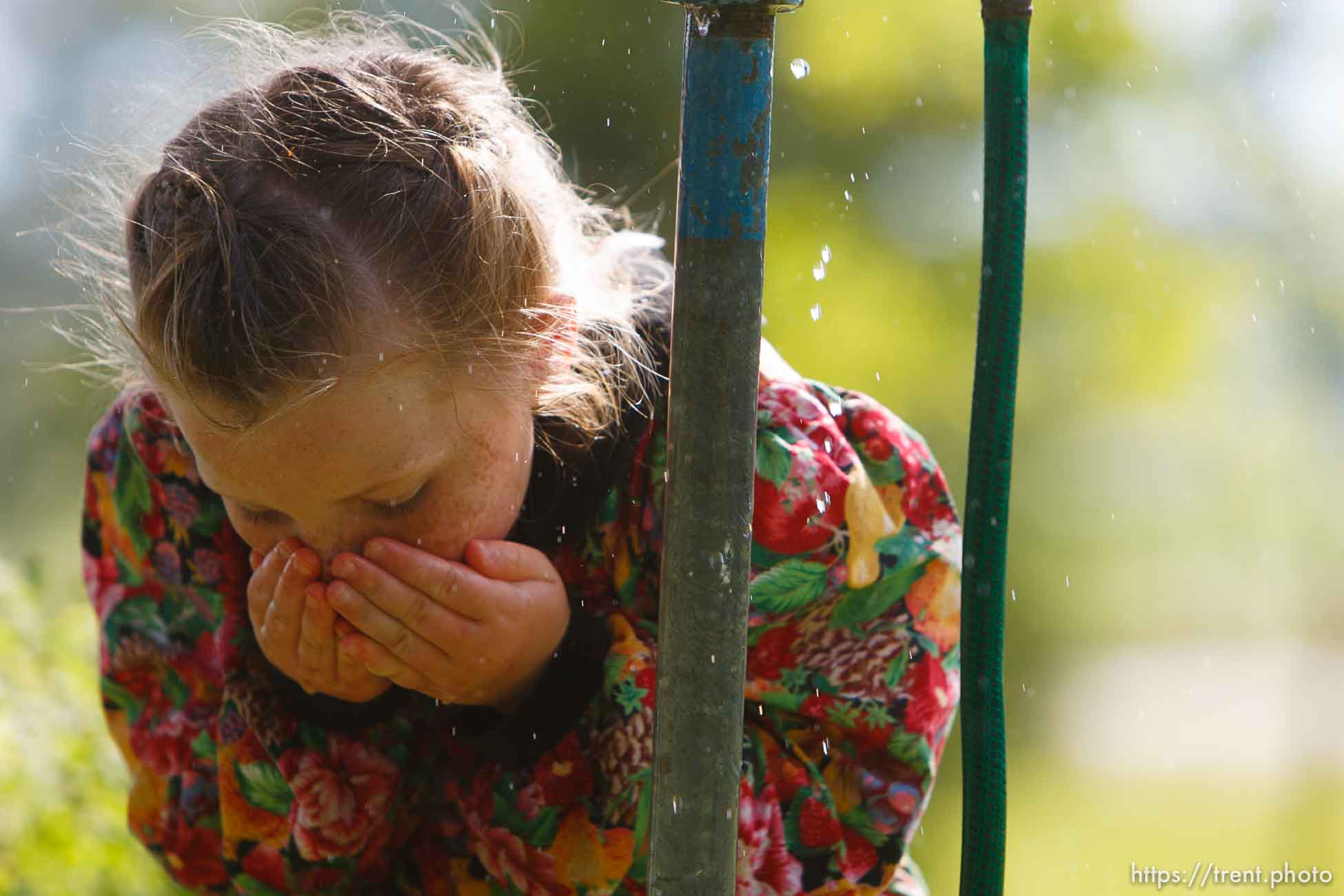 Polygamy in the American West