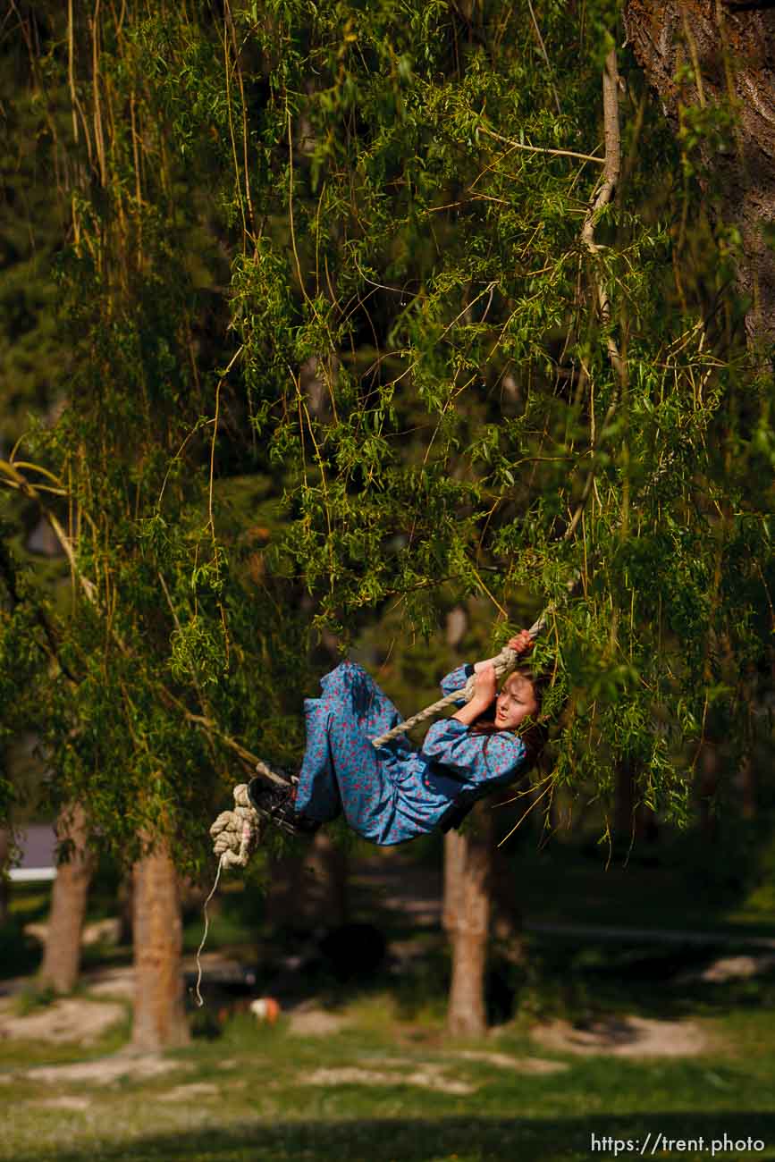 Polygamy in the American West