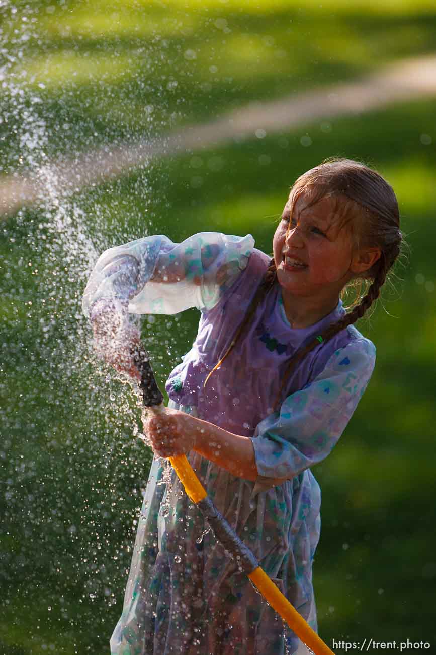 Polygamy in the American West