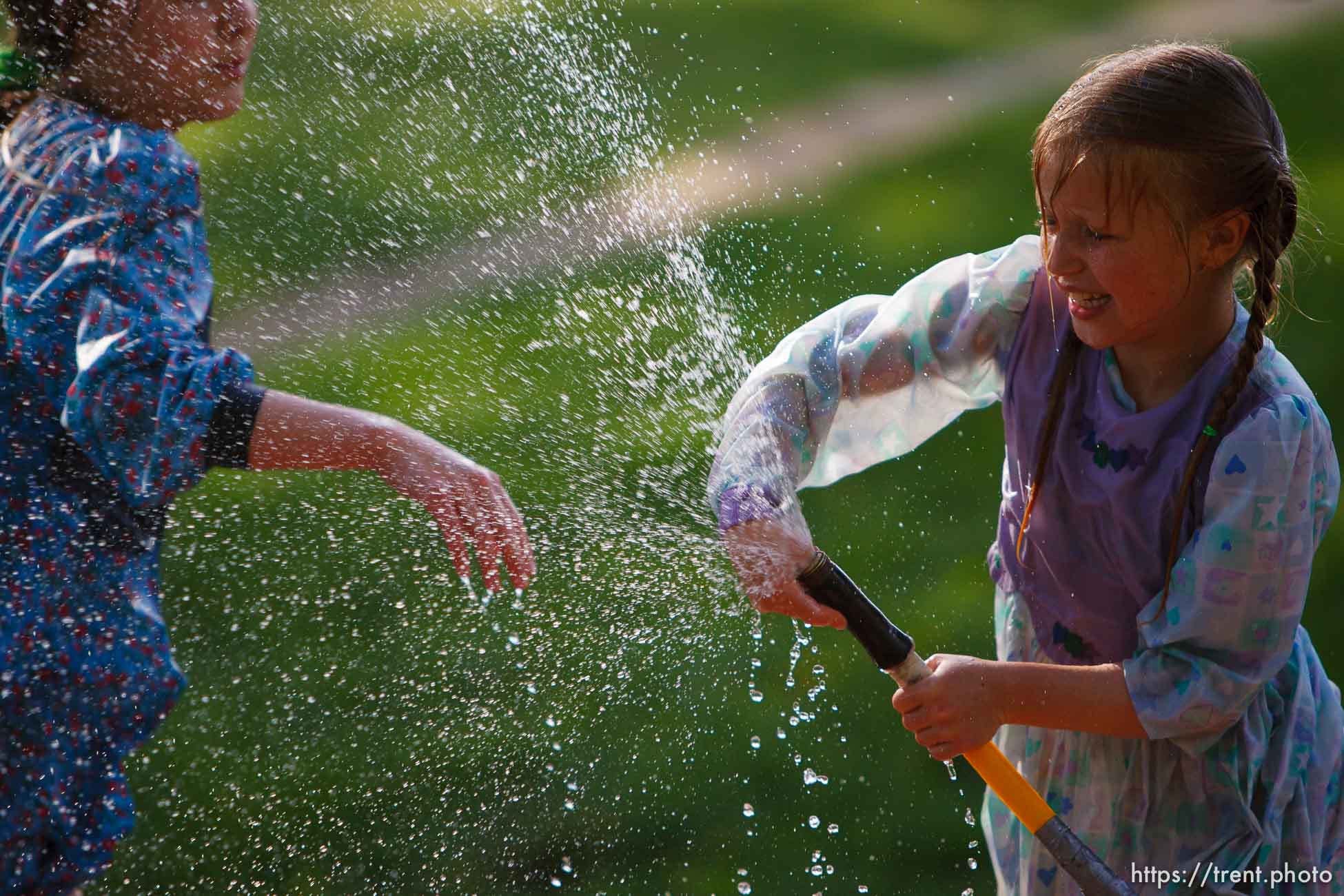 Canon EOS-1D Mark II N