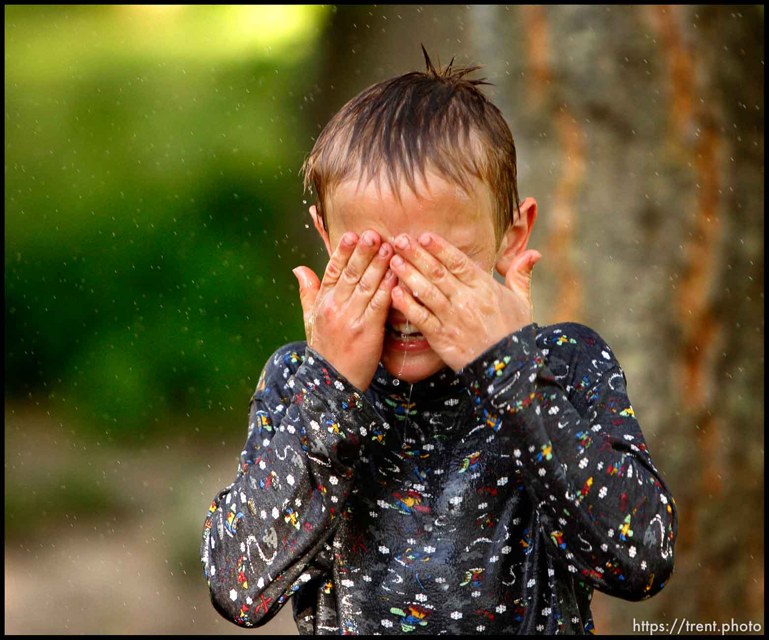 Polygamy in the American West