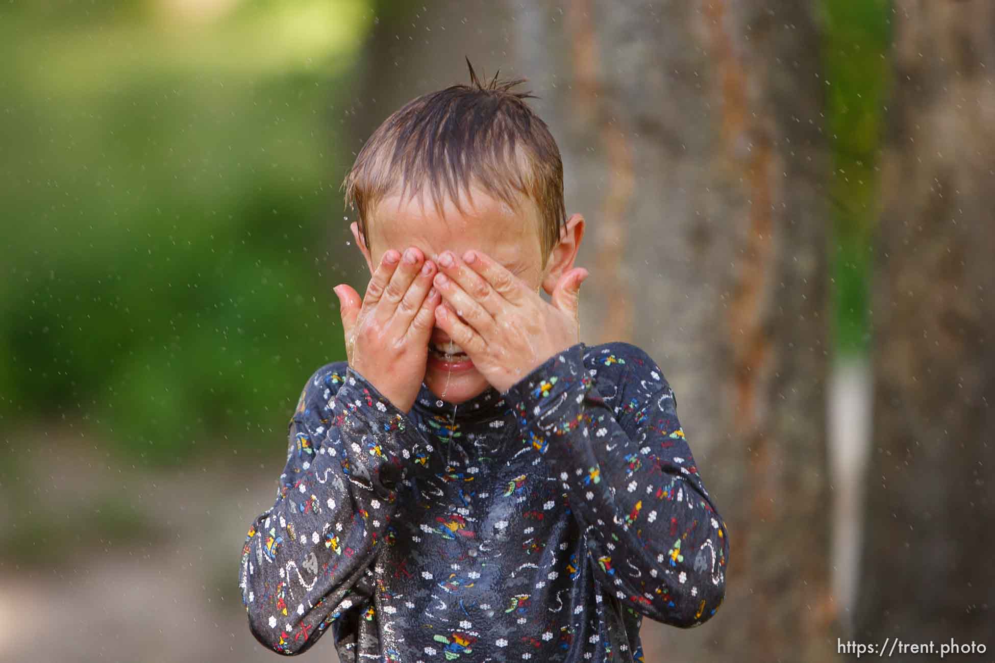 Polygamy in the American West