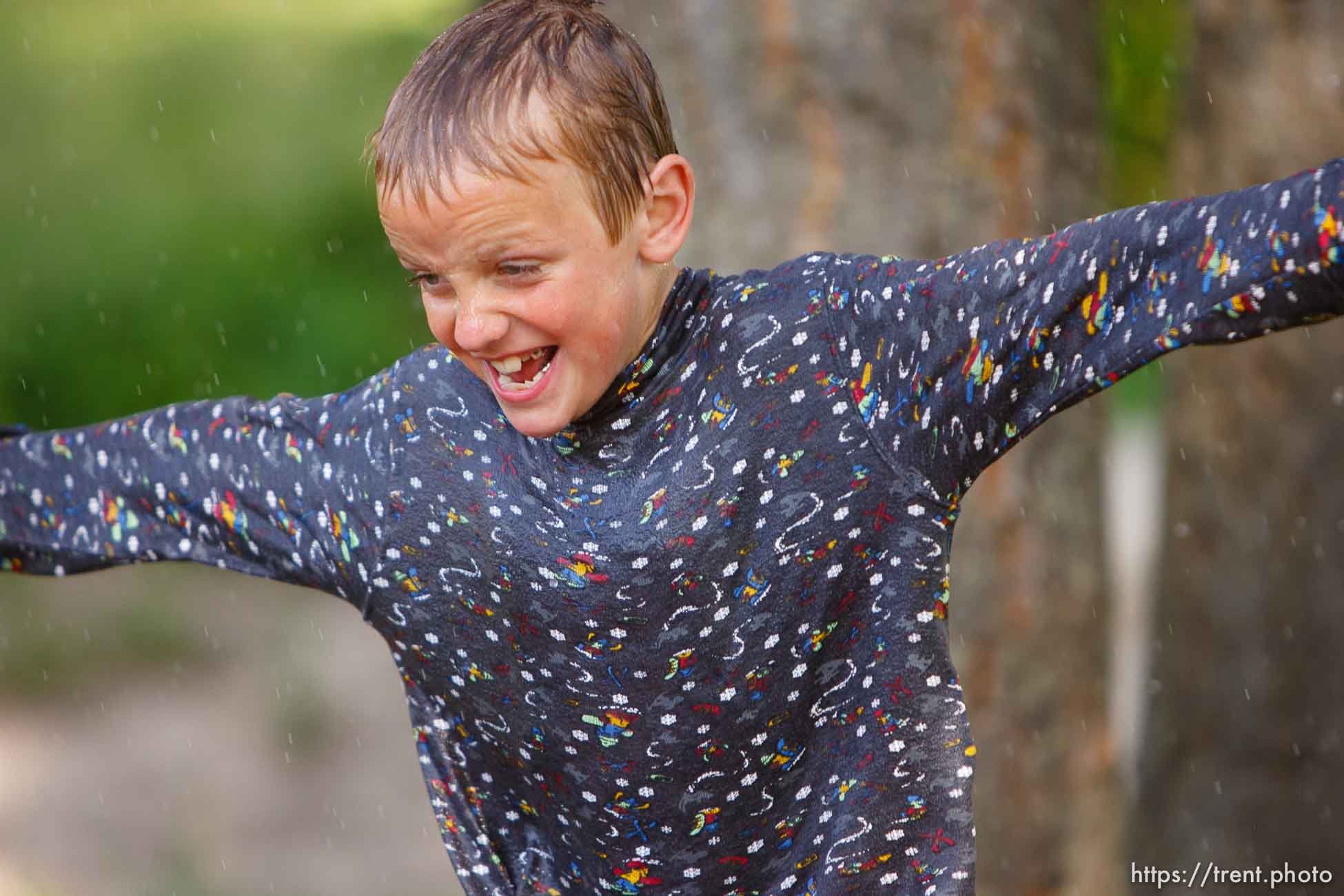 Polygamy in the American West