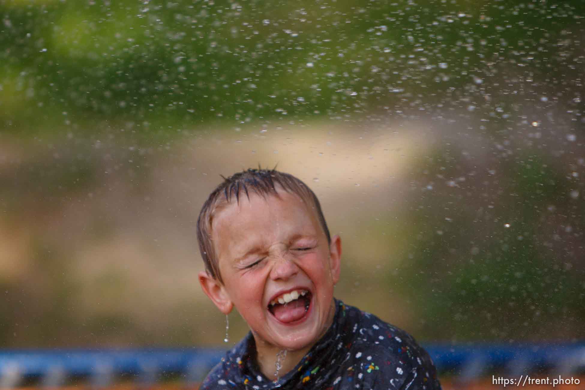 Polygamy in the American West