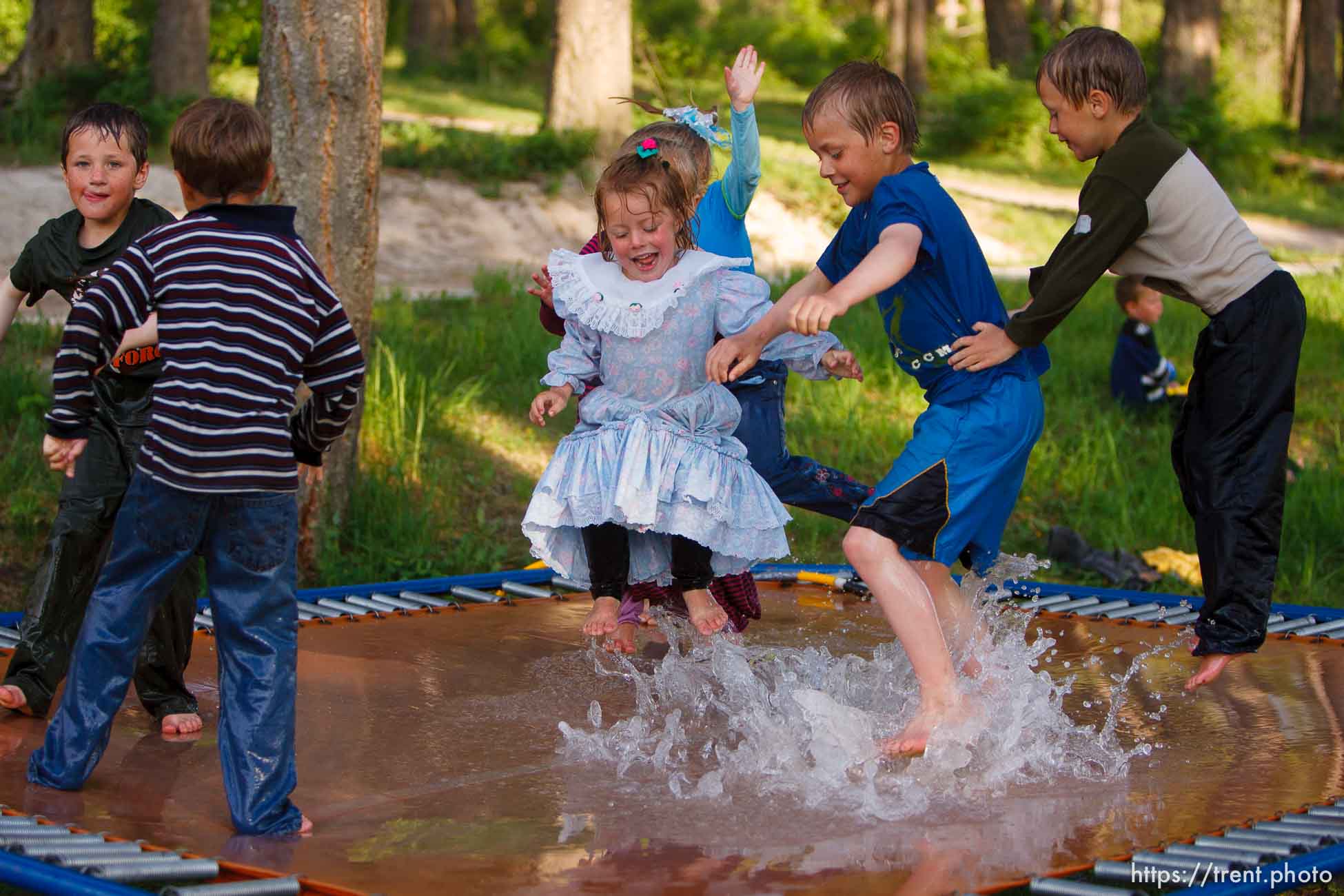 Polygamy in the American West