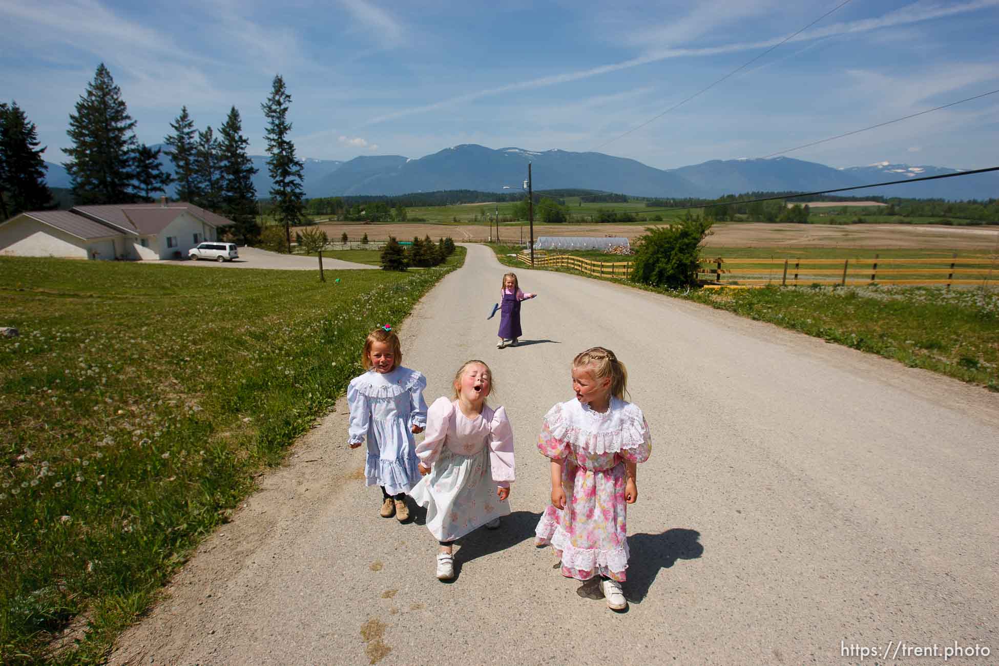 Polygamy in the American West