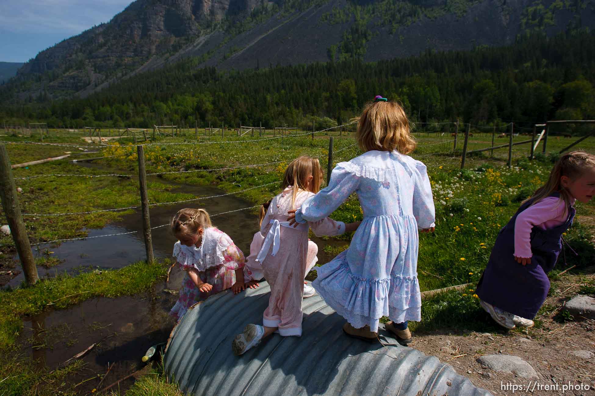 Canon EOS-1D Mark II N