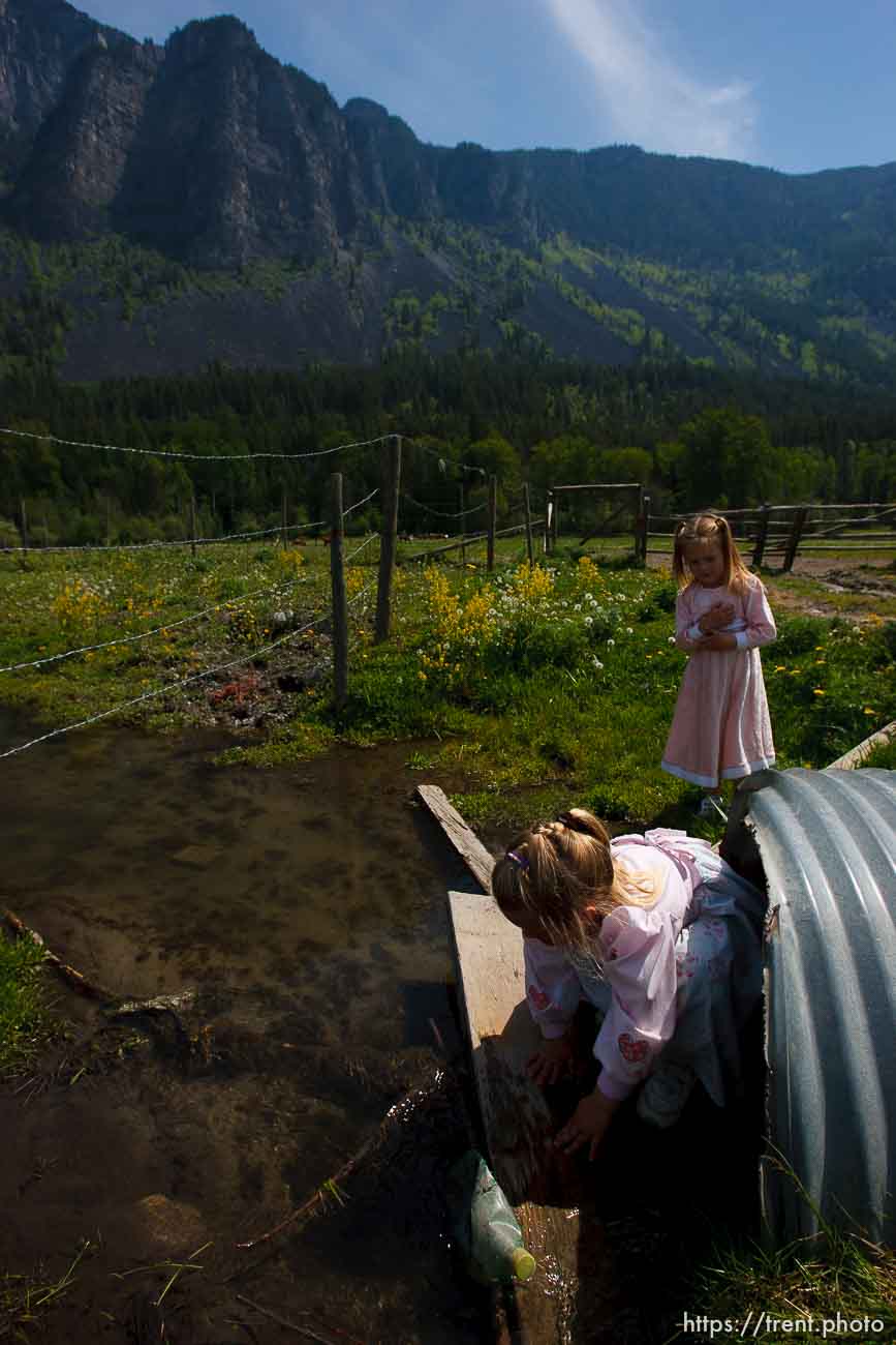 Polygamy in the American West