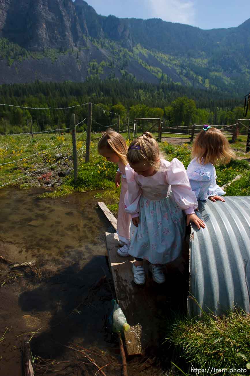 Polygamy in the American West