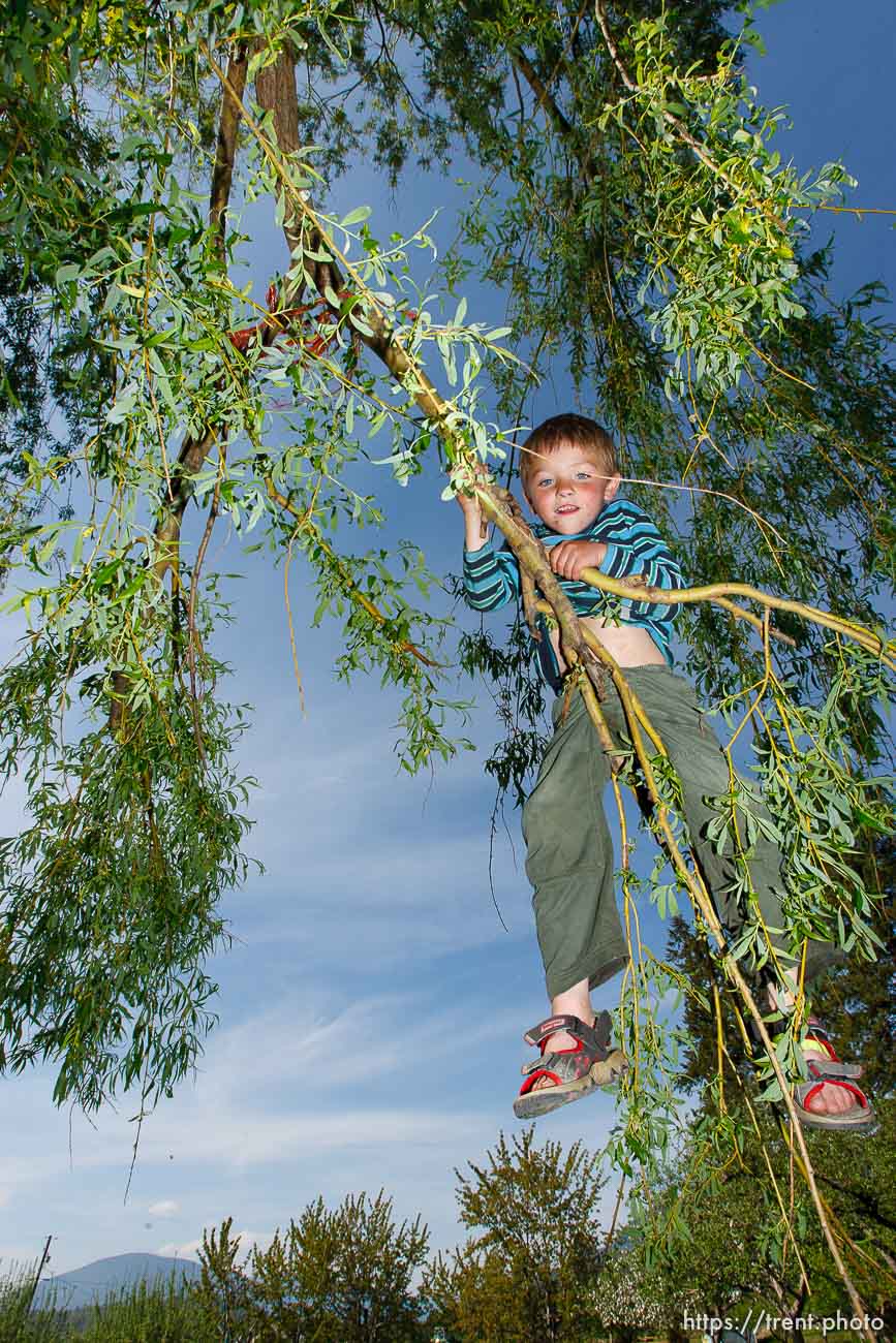 Canon EOS-1D Mark II N