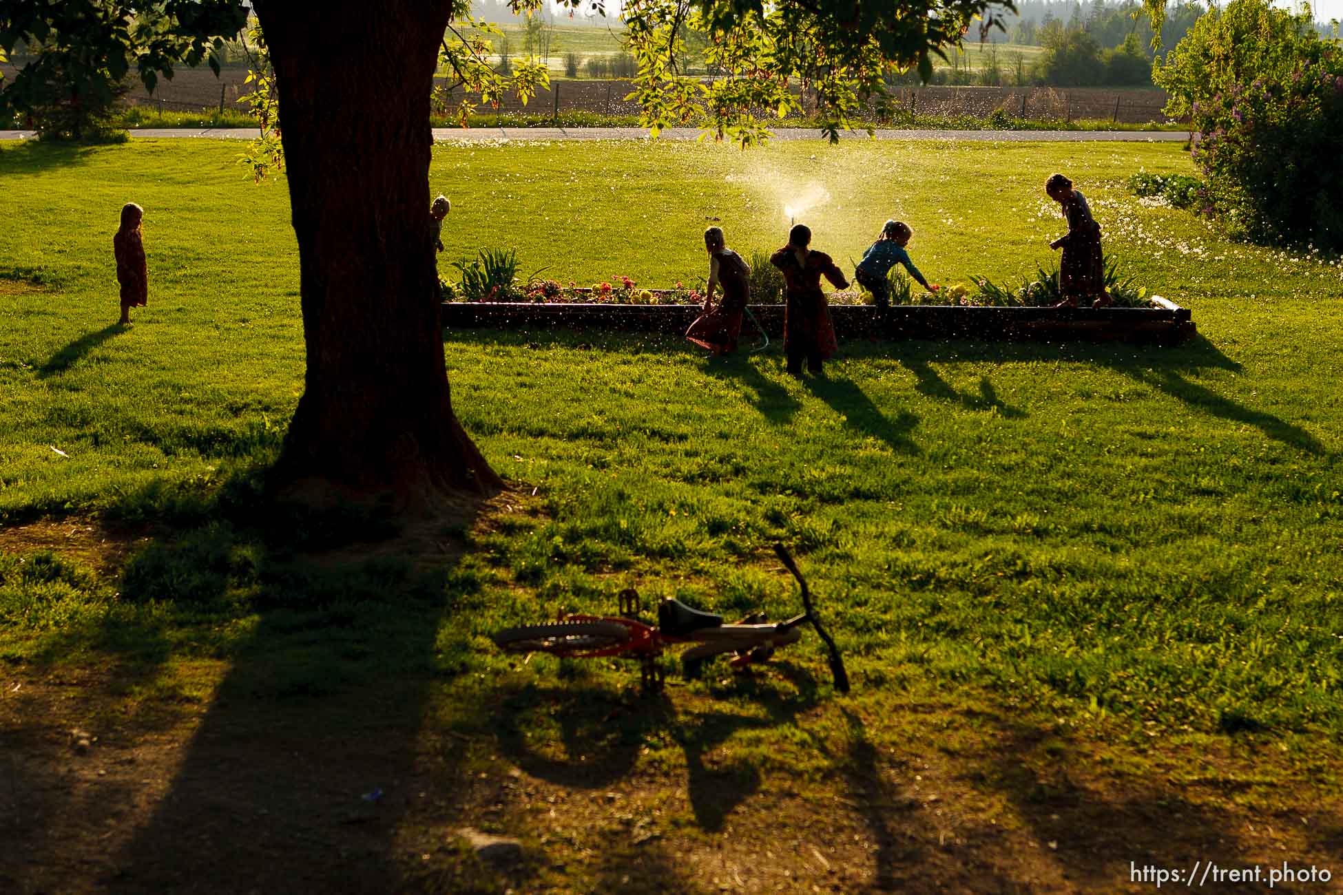 Canon EOS-1D Mark II N