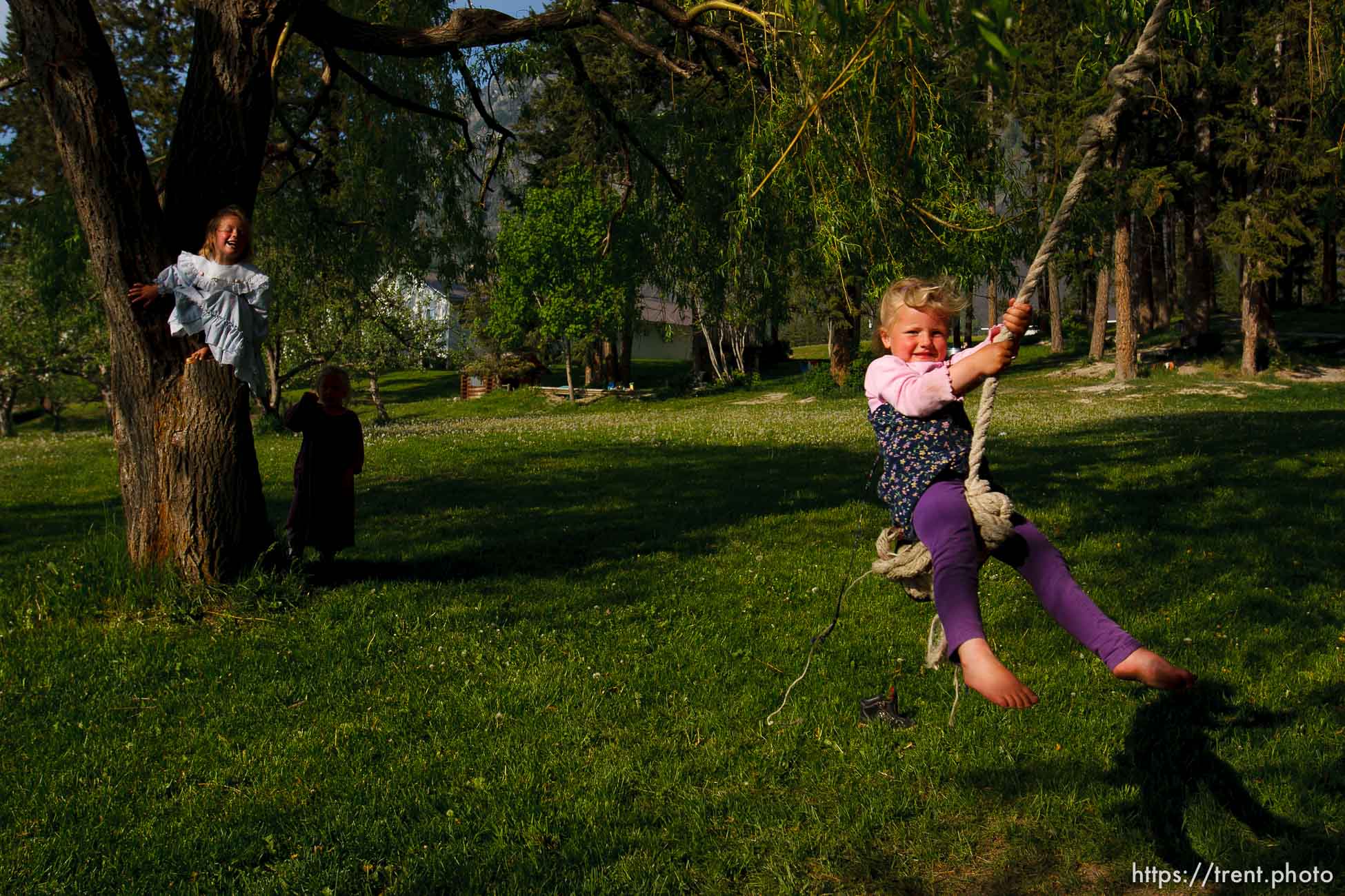 Polygamy in the American West