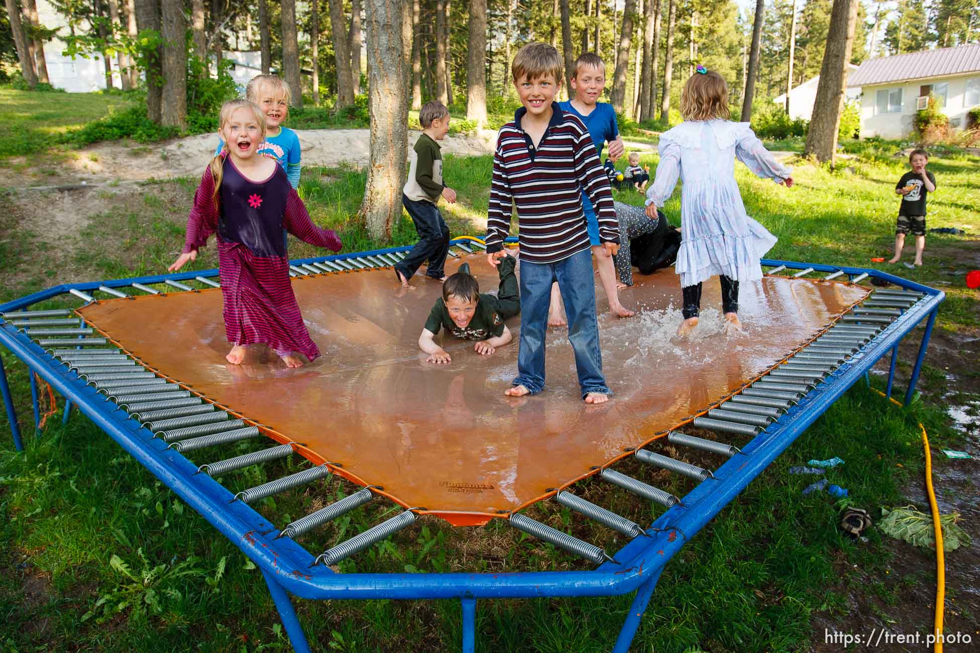 Polygamy in the American West