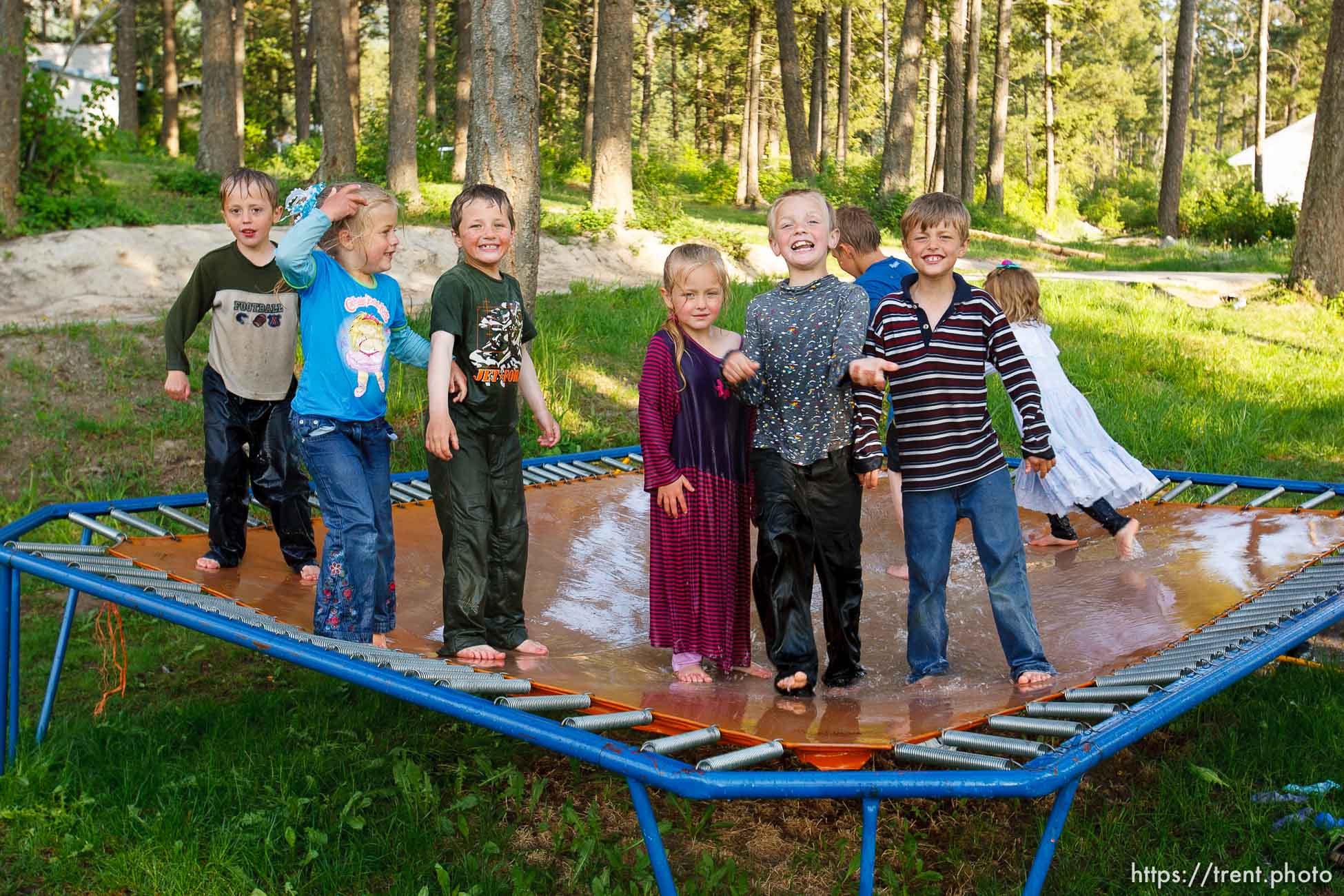 Polygamy in the American West