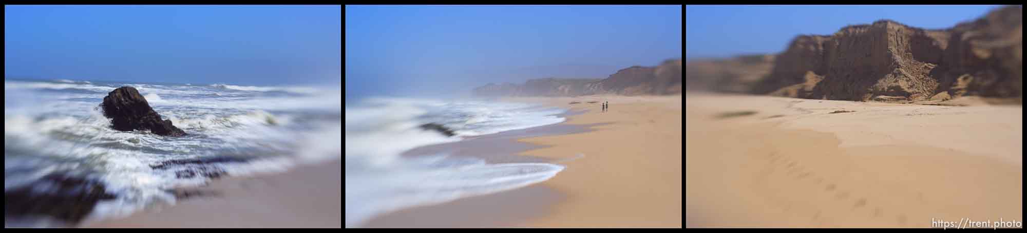 Canon EOS-1D Mark II N