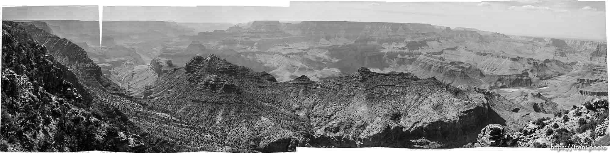 Canon EOS-1D Mark II N