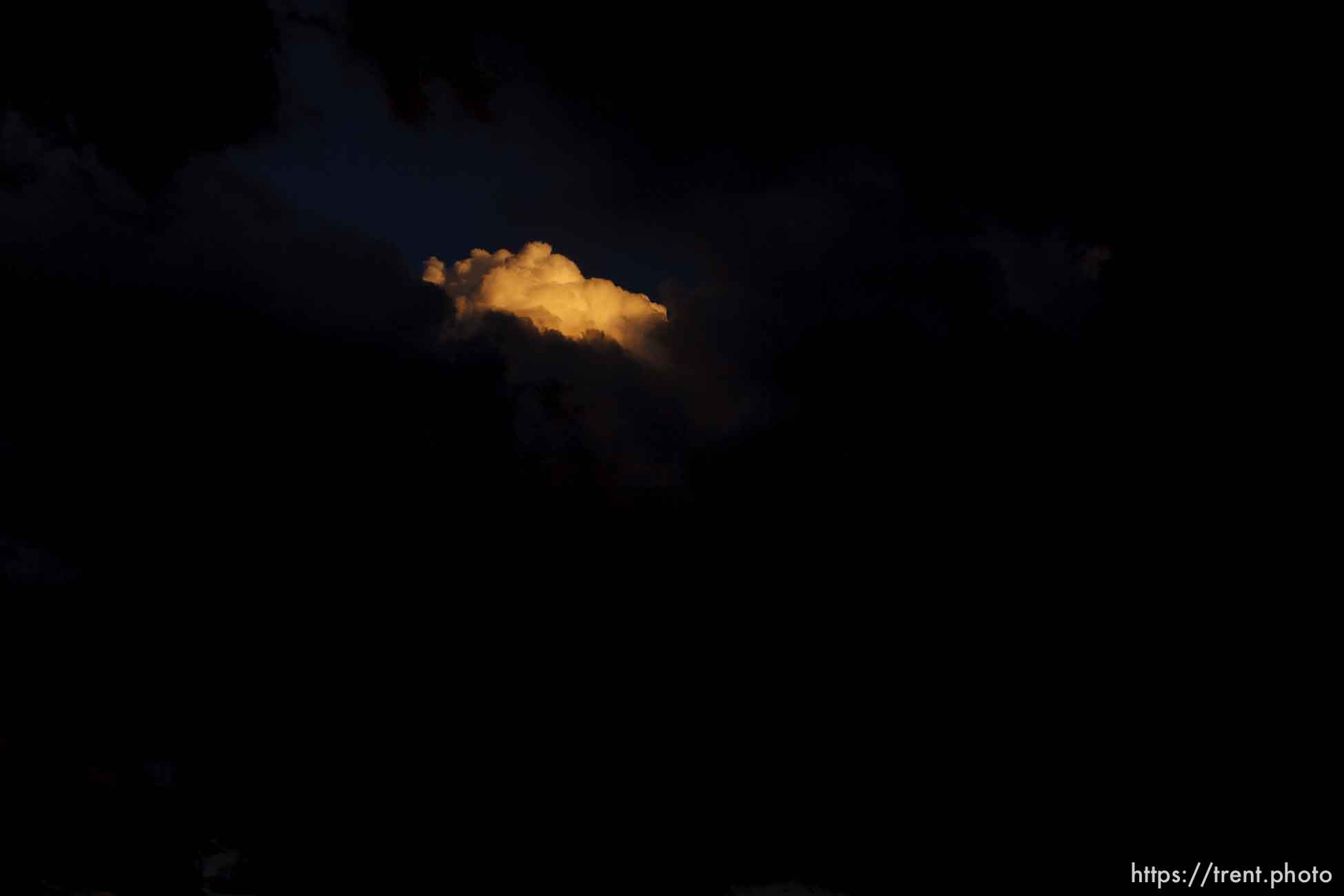 Canon EOS-1D Mark II N