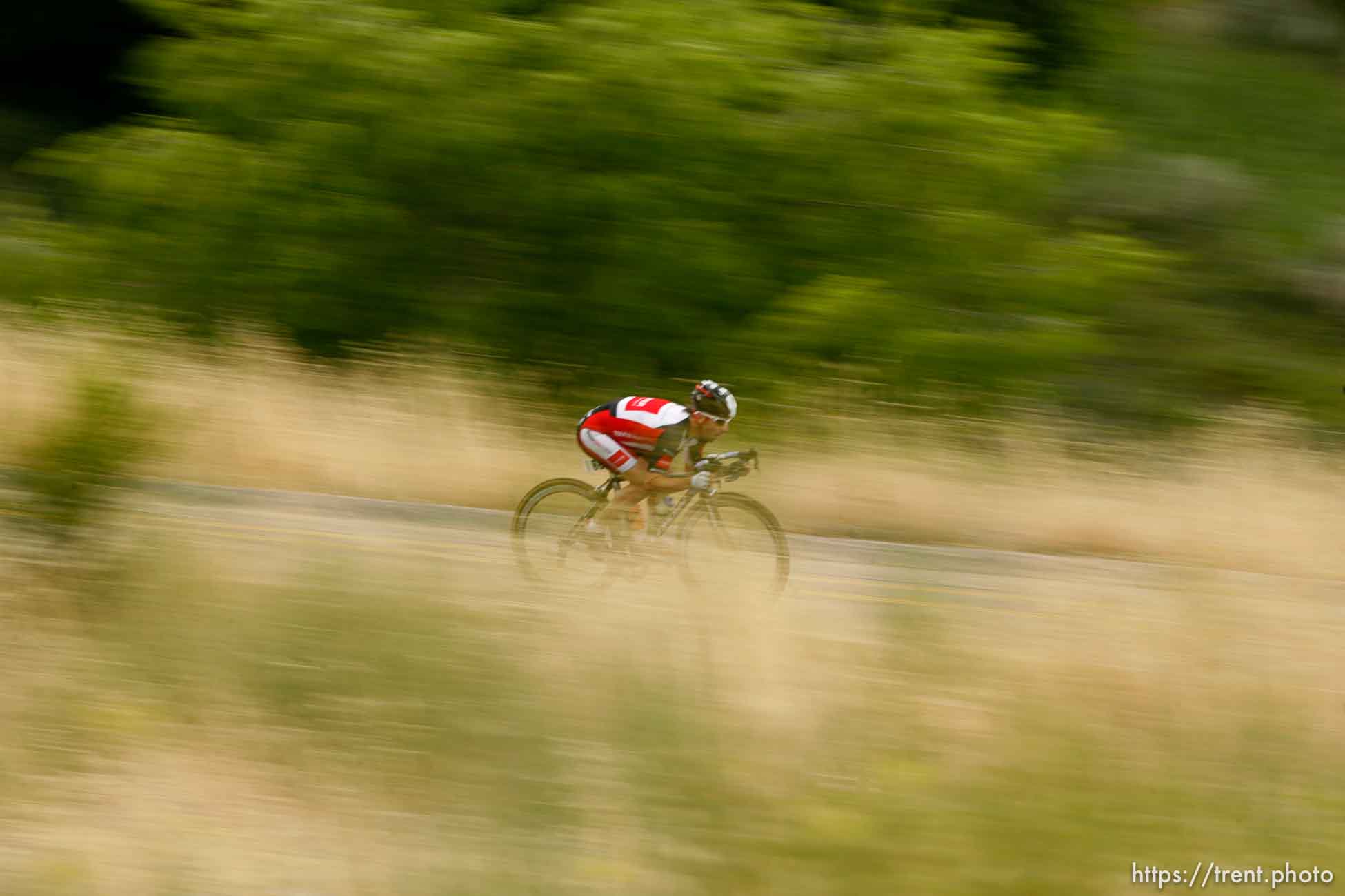 Canon EOS-1D Mark II N