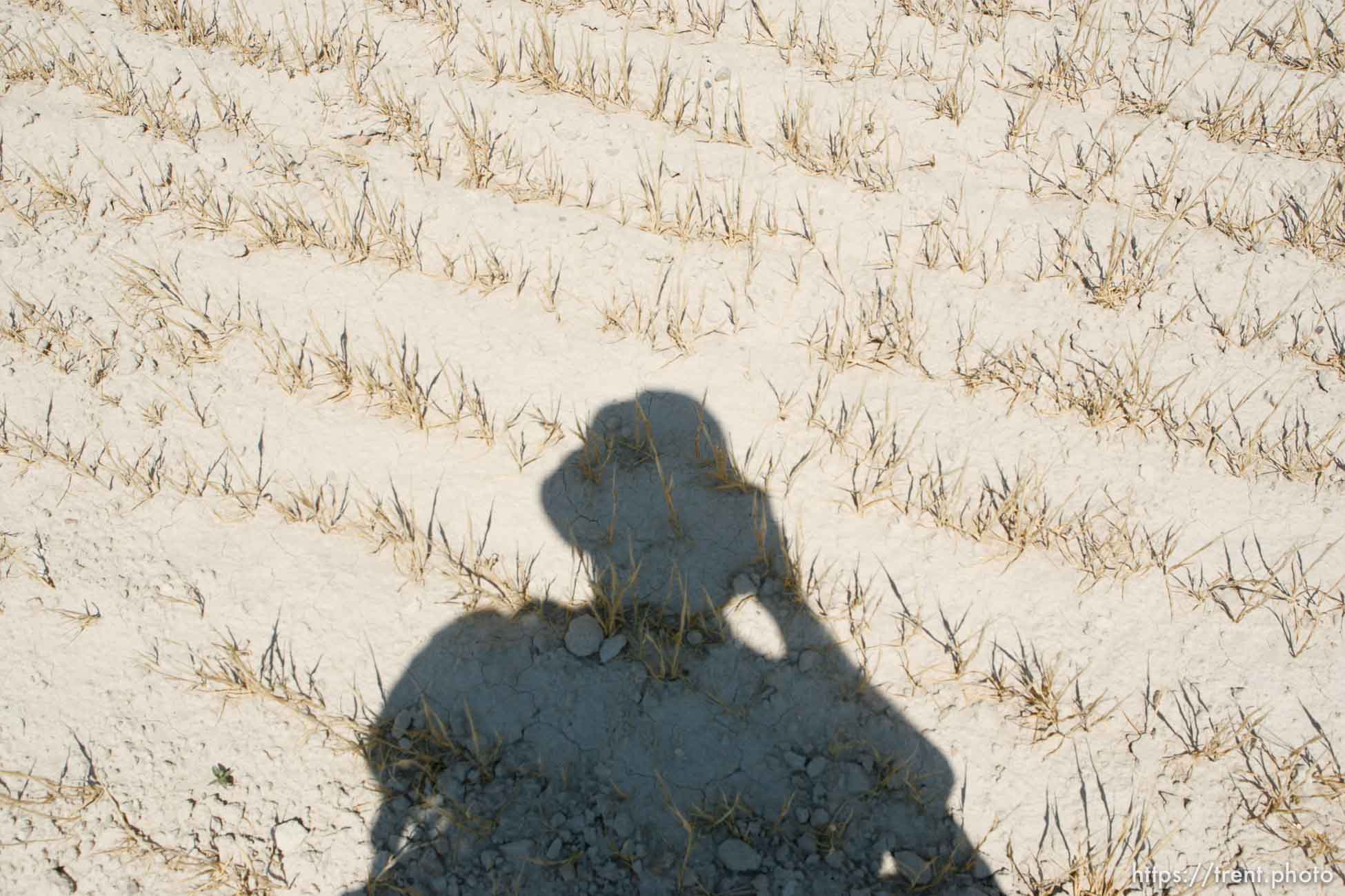 American Le Mans Grand Prix