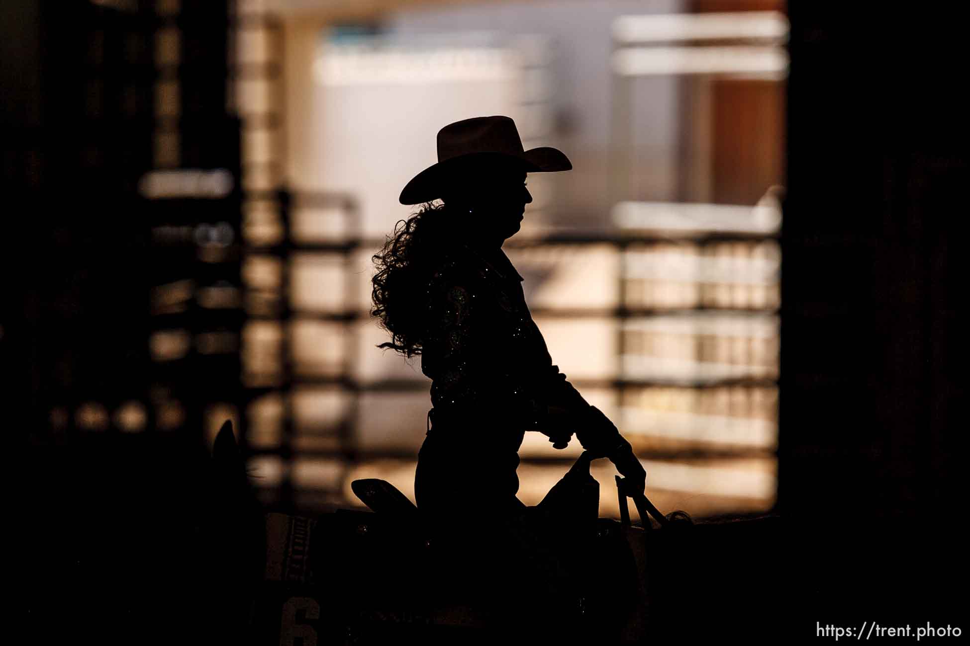 Canon EOS-1D Mark II N