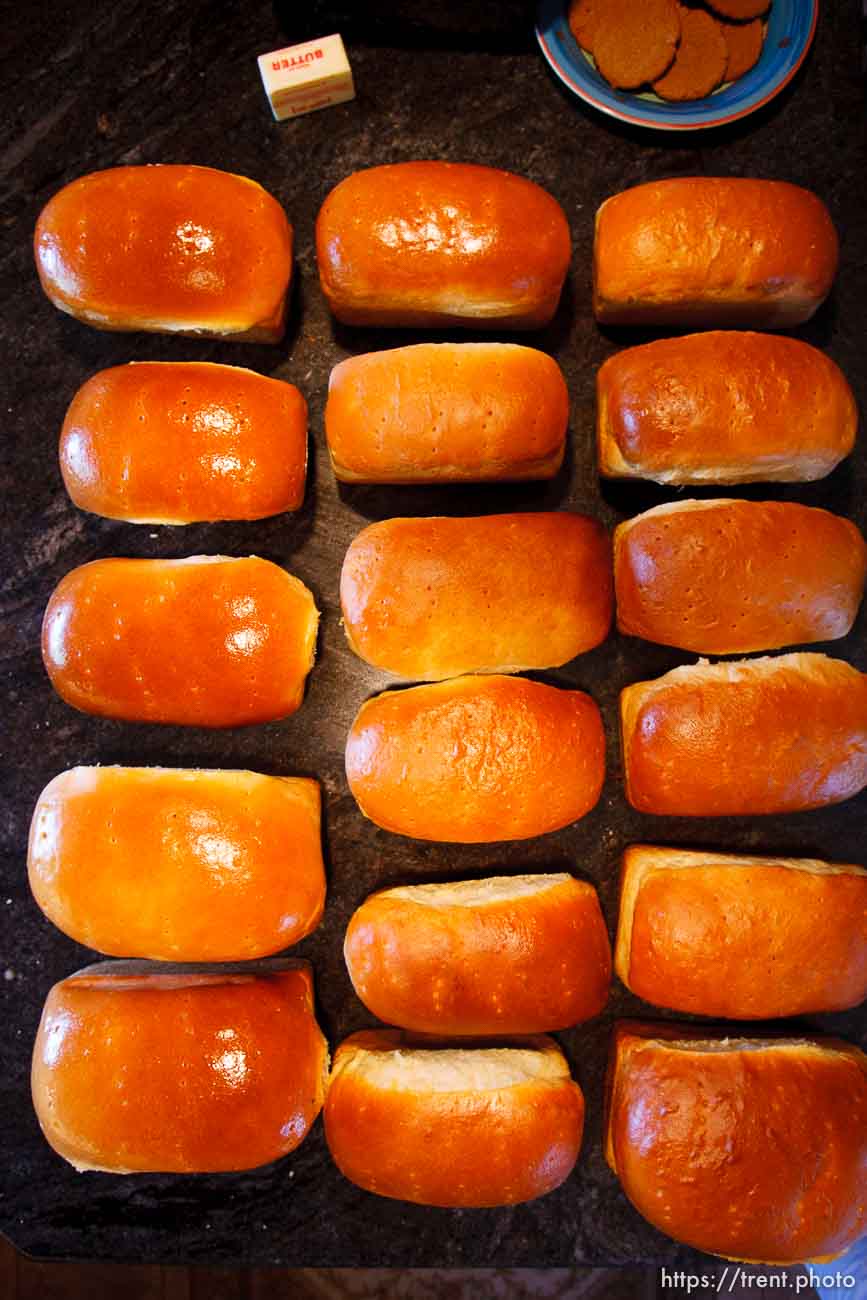 Polygamy in the American West