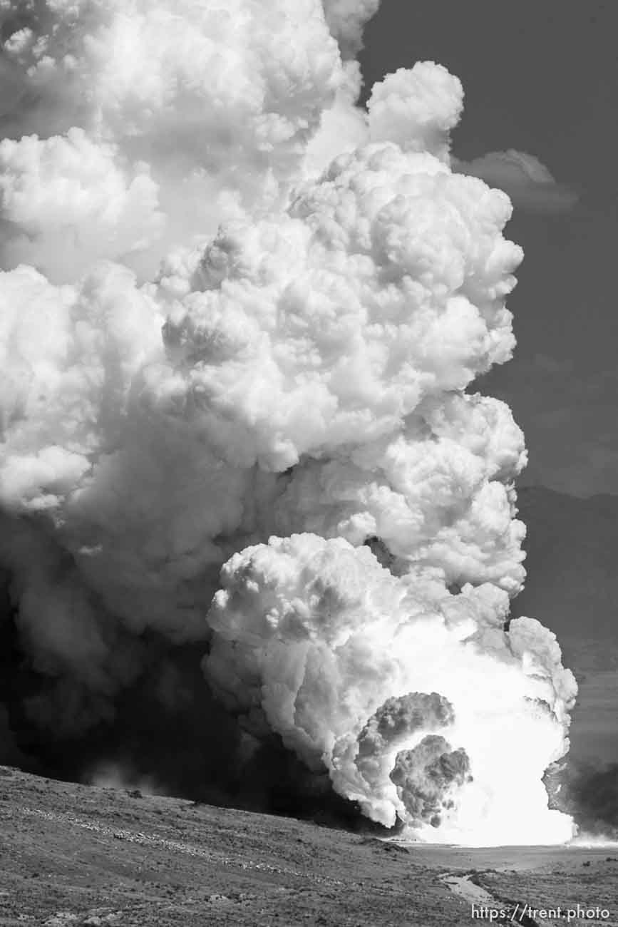 Canon EOS-1D Mark II N