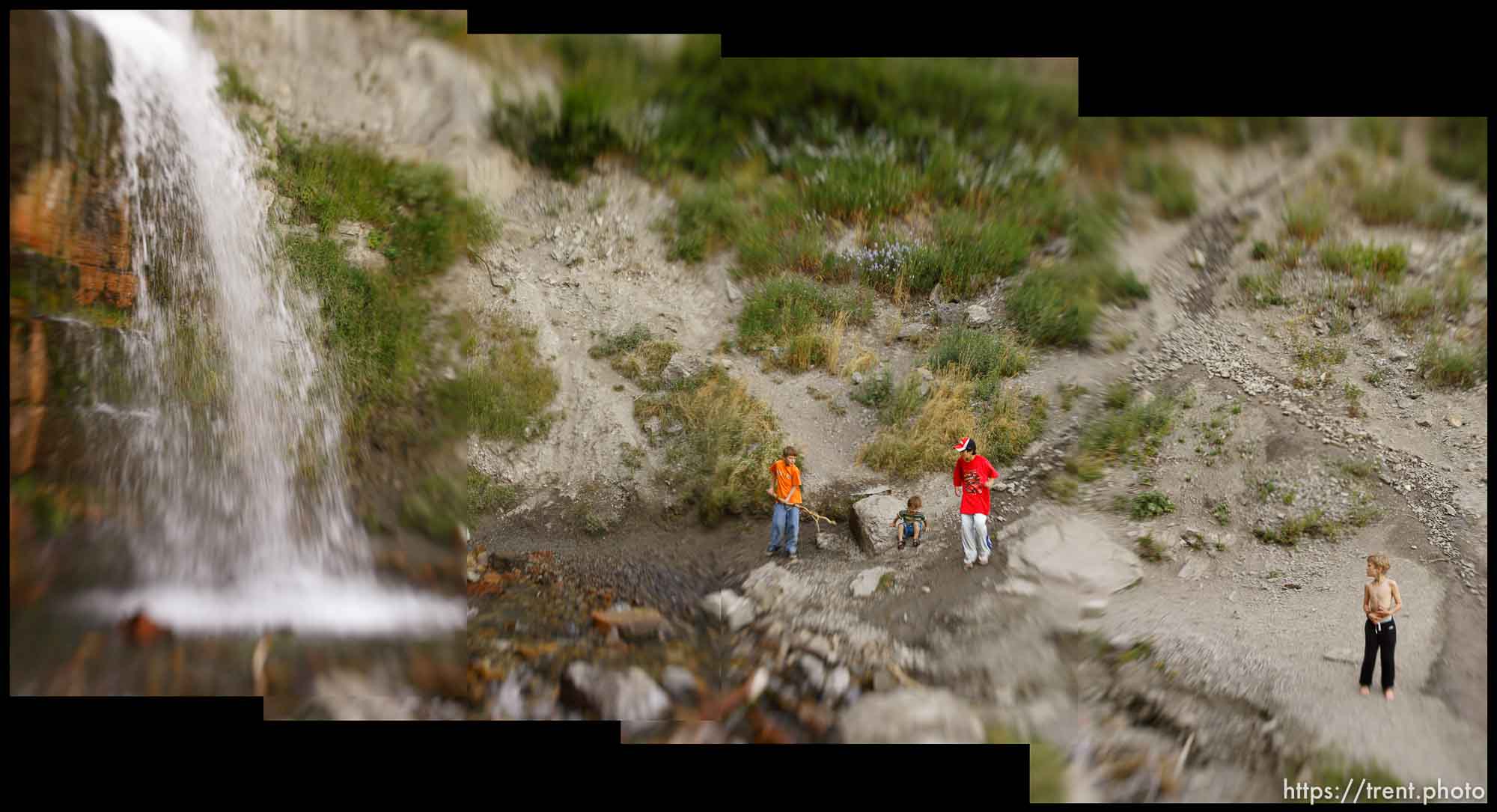 Canon EOS-1D Mark II N