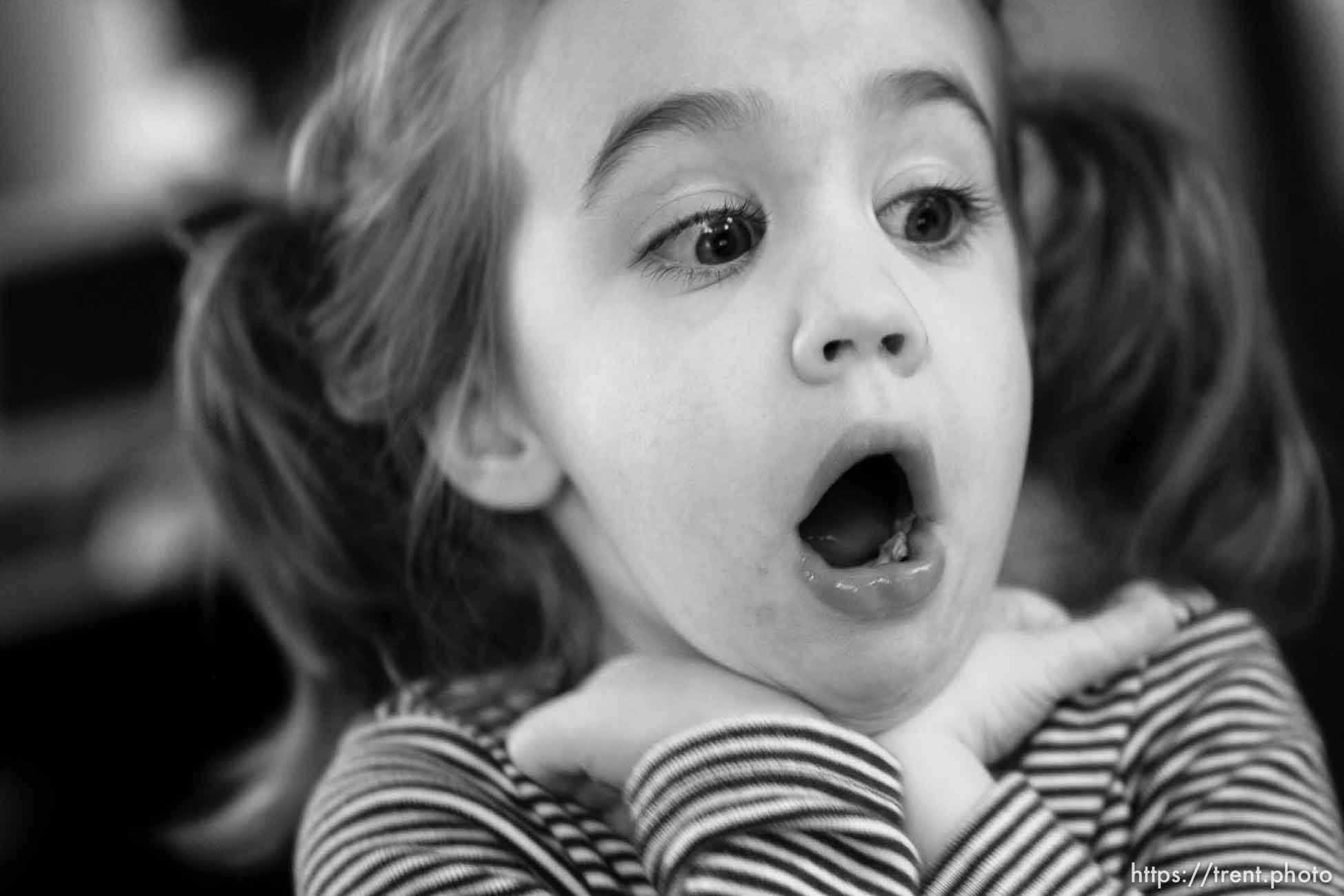 Canon EOS-1D Mark II N