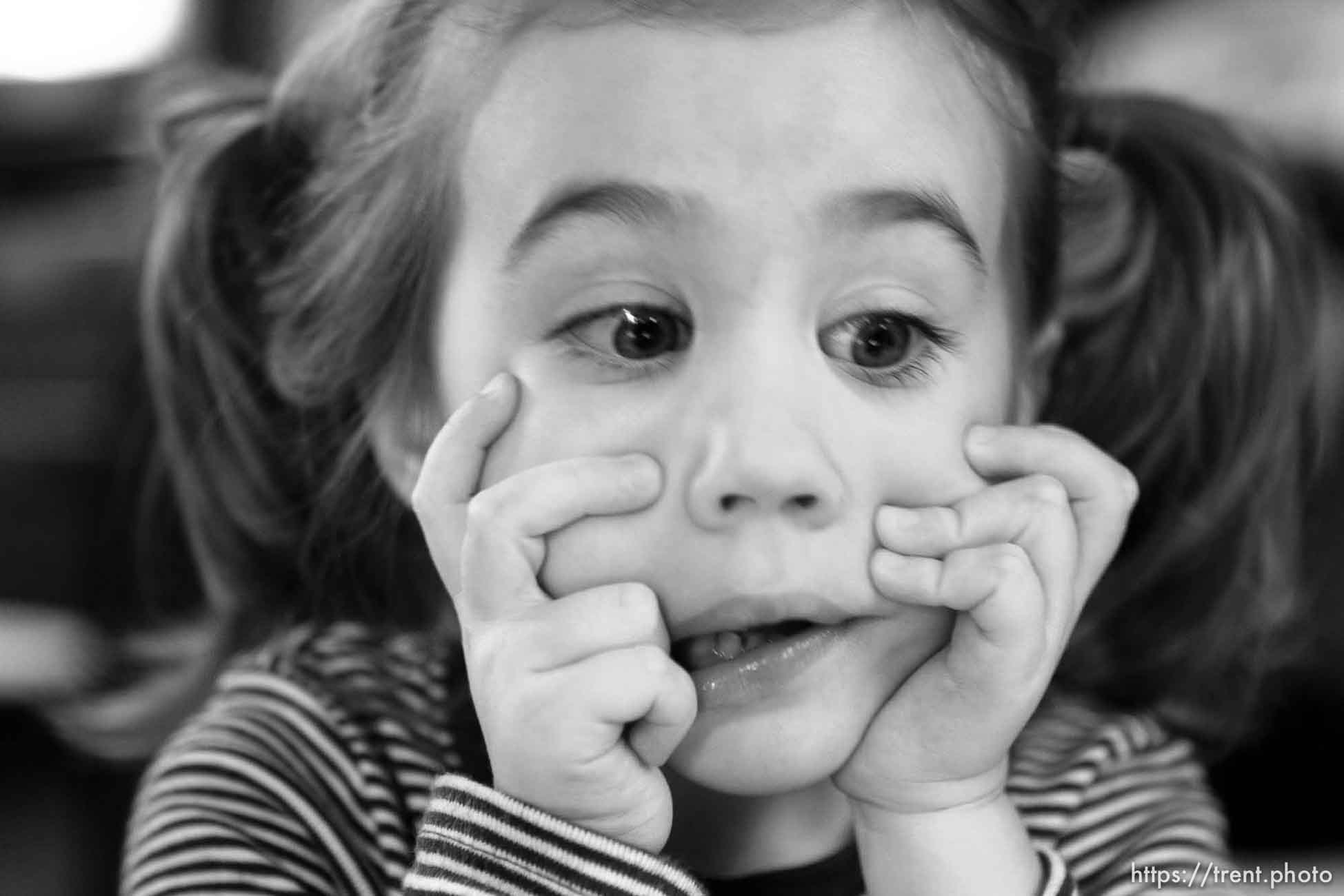 Canon EOS-1D Mark II N