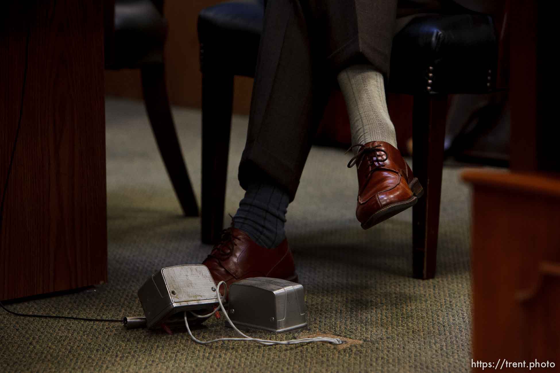 Polygamy in the American West