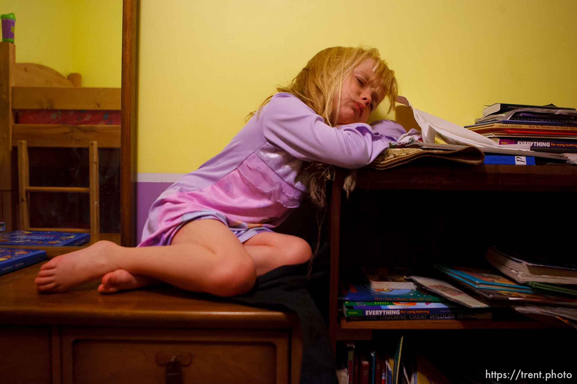 Canon EOS-1D Mark II N